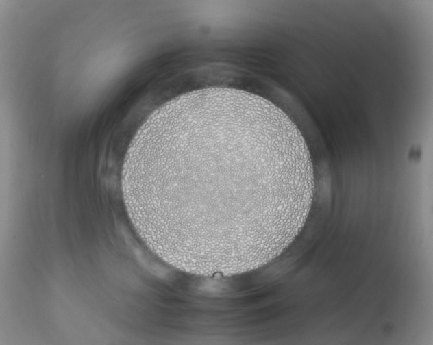 X0000113090573200910091300
