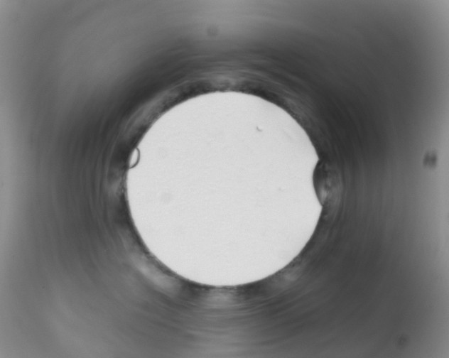 X0000113090574200910091300