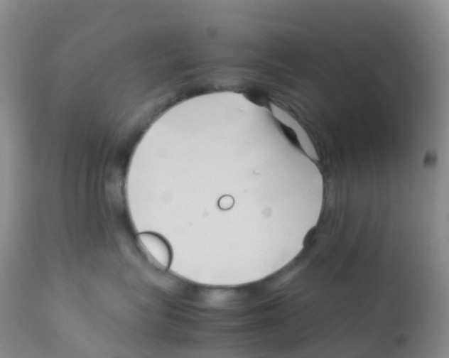 X0000113090575200910091300