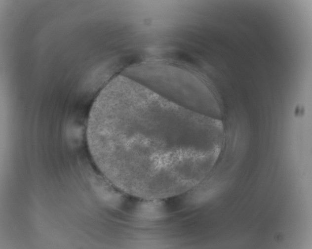 X0000113090576200910091300