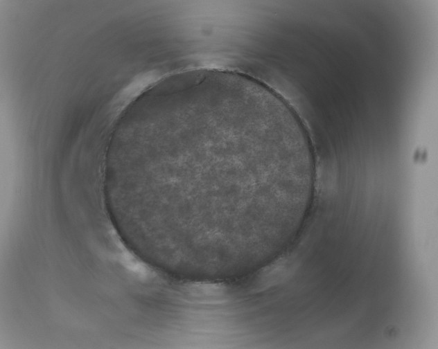X0000113090577200910091259