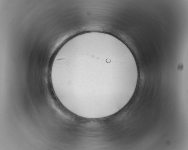X0000113090578200910091259