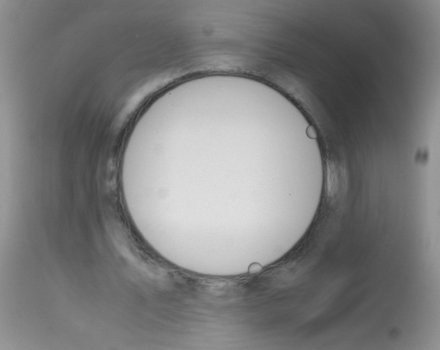 X0000113090579200910091259