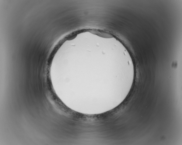 X0000113090580200910091259