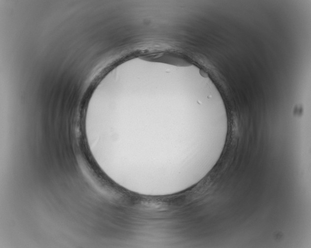 X0000113090582200910091259