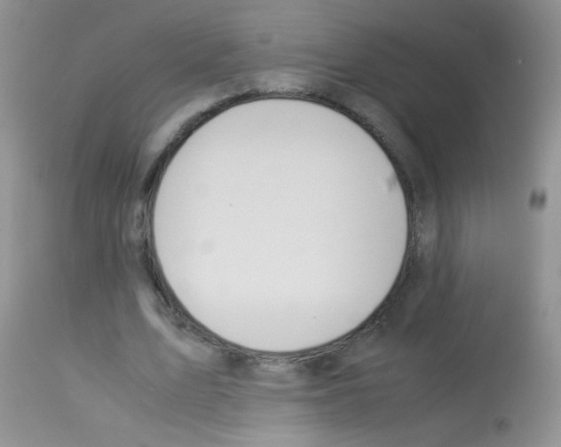 X0000113090583200910091259