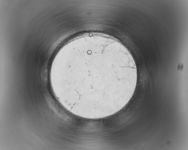 X0000113090584200910091259