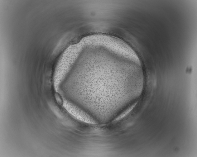 X0000113090585200910091259