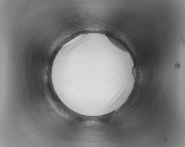 X0000113090586200910091259