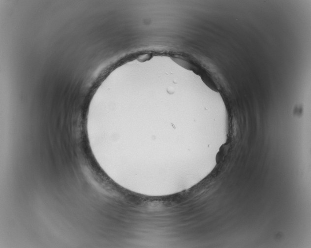 X0000113090588200910091259