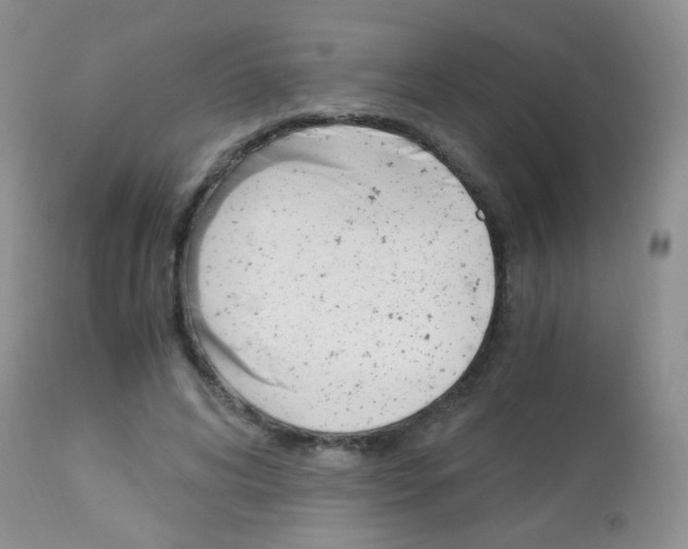 X0000113090592200910091259