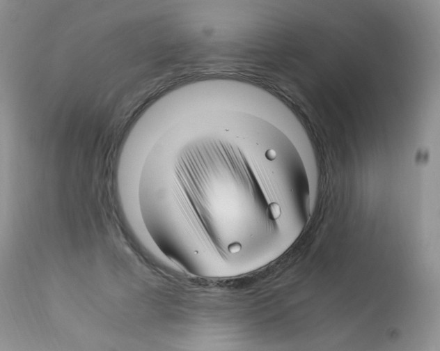 X0000113090593200910091259