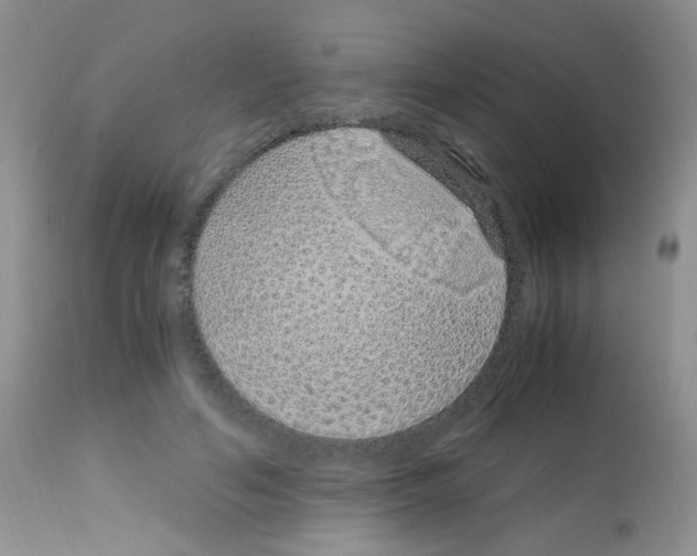 X0000113090594200910091259