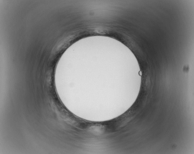 X0000113090595200910091259