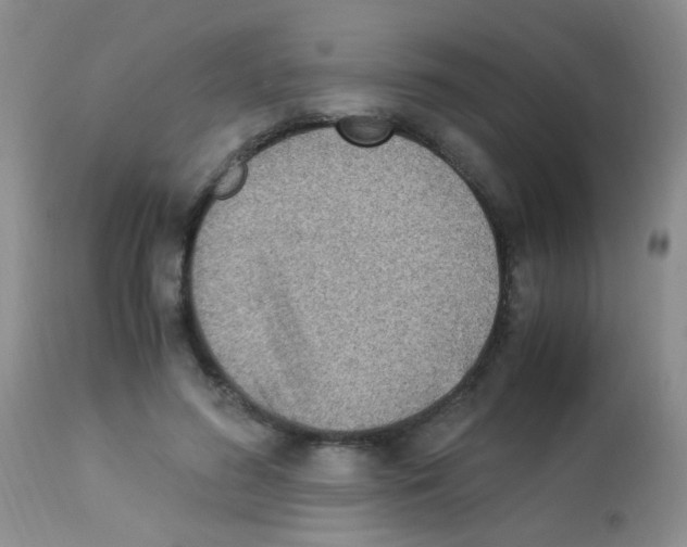 X0000113090596200910091259