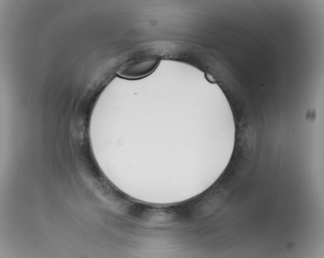 X0000113090597200910091259