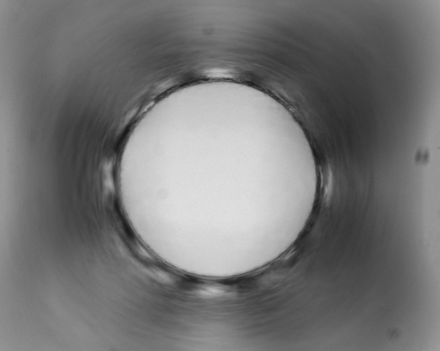 X0000113090598200910091259