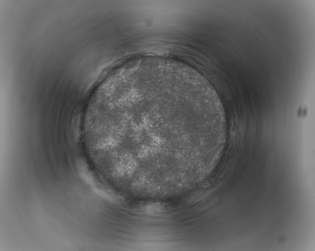 X0000113090600200910091259