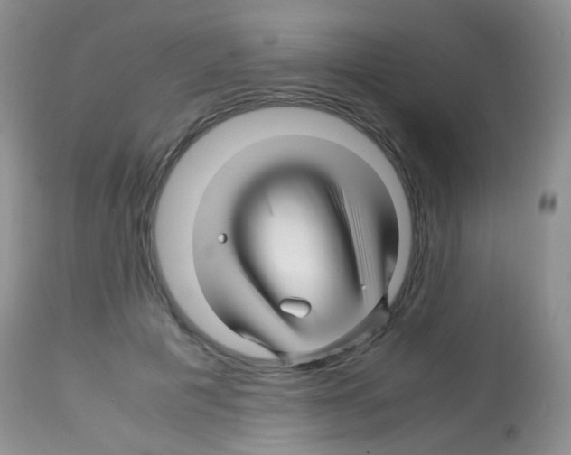 X0000113090601200910091259