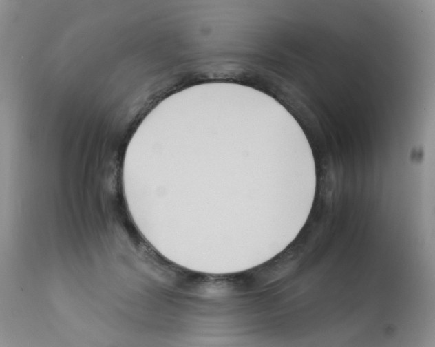 X0000113090604200910091259