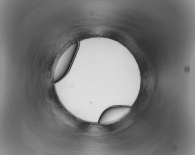 X0000113090605200910091259