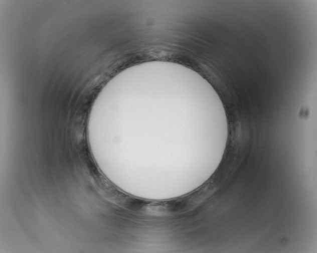 X0000113090606200910091259