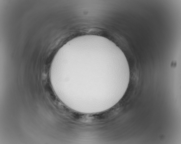 X0000113090607200910091259