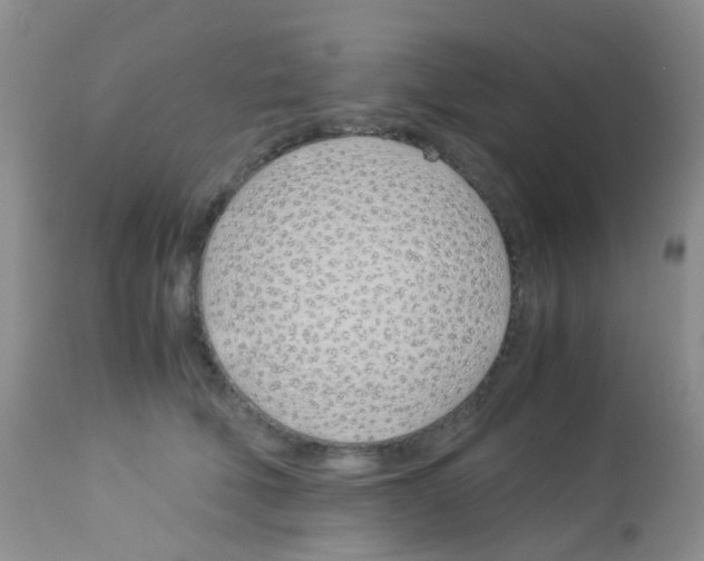 X0000113090610200910091259