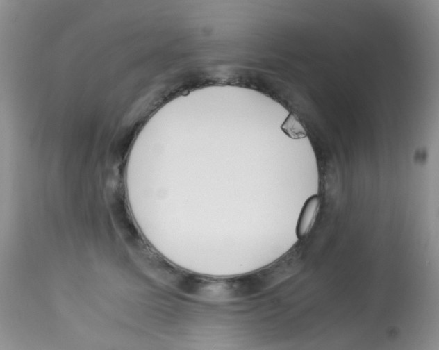 X0000113090611200910091259