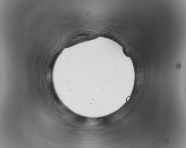 X0000113090613200910091259