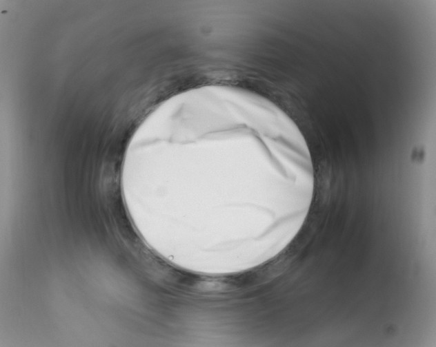 X0000113090614200910091259