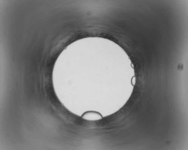 X0000113090615200910091259