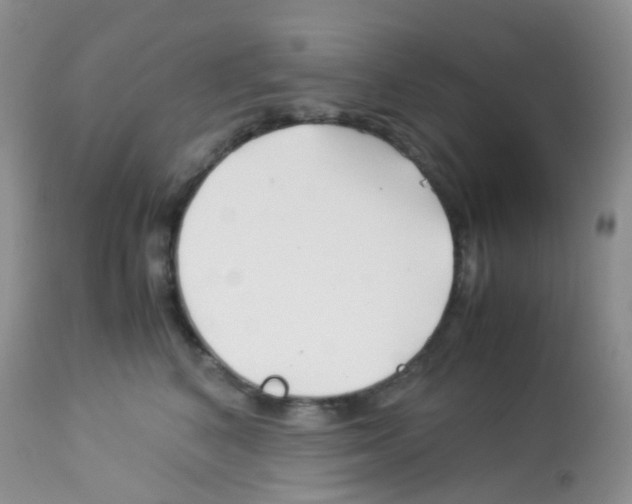 X0000113090616200910091259