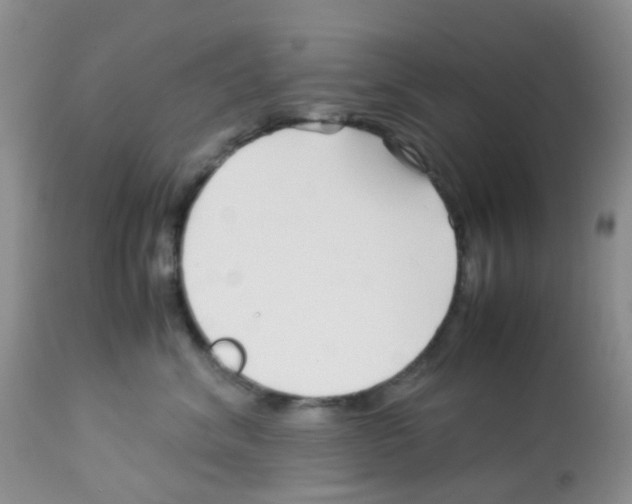X0000113090620200910091259