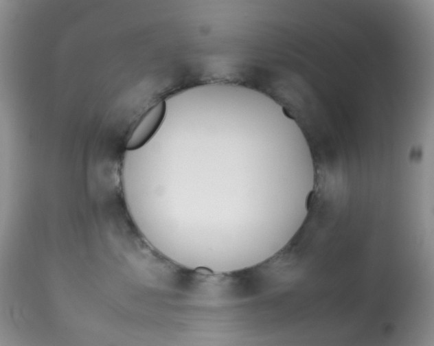 X0000113090621200910091259