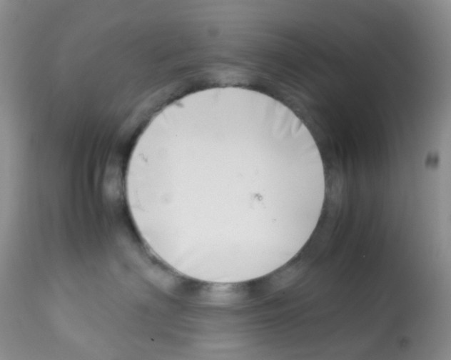 X0000113090622200910091259
