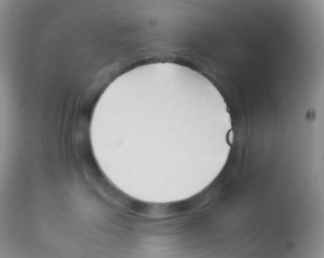 X0000113090623200910091259