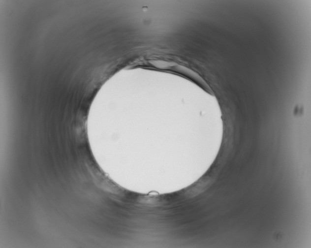 X0000113090624200910091259