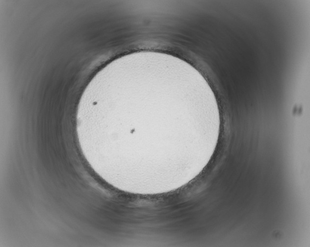 X0000113090625200910091258