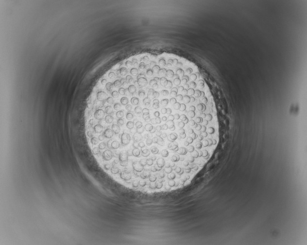 X0000113090626200910091258