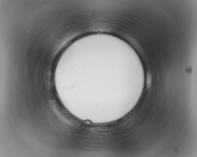 X0000113090627200910091258