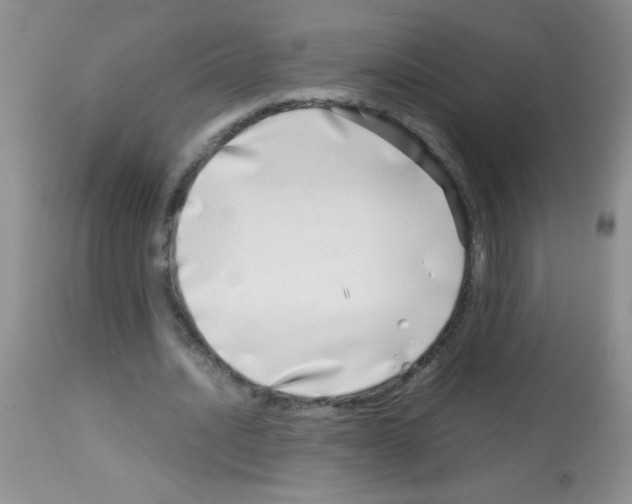 X0000113090628200910091258