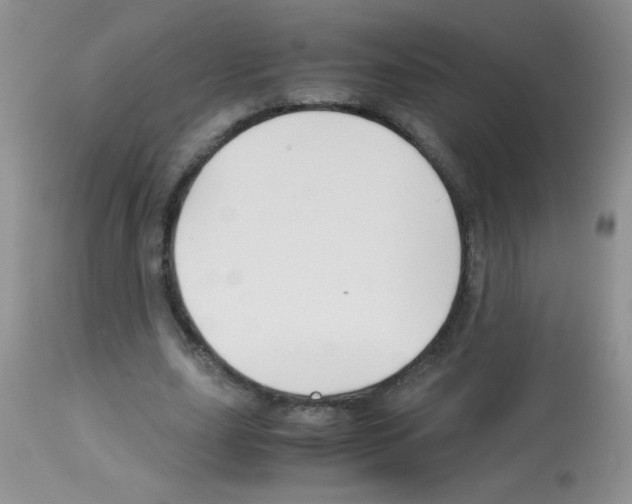 X0000113090631200910091258