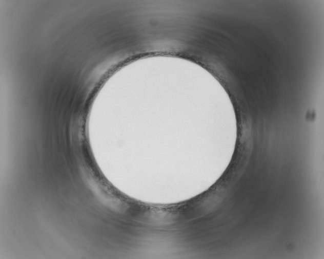 X0000113090632200910091258