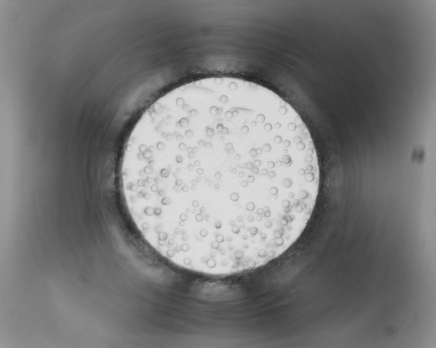 X0000113090635200910091258