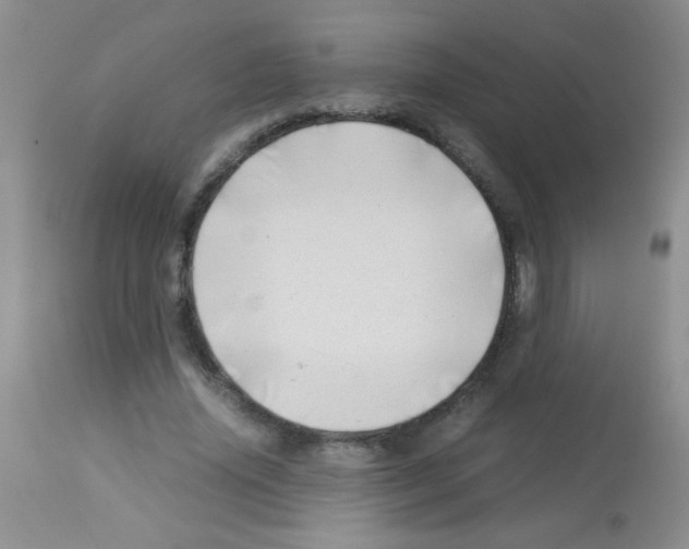 X0000113090636200910091258