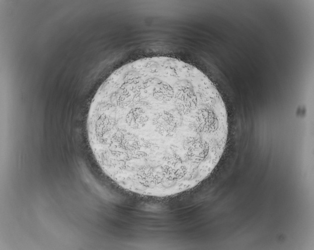 X0000113090639200910091258
