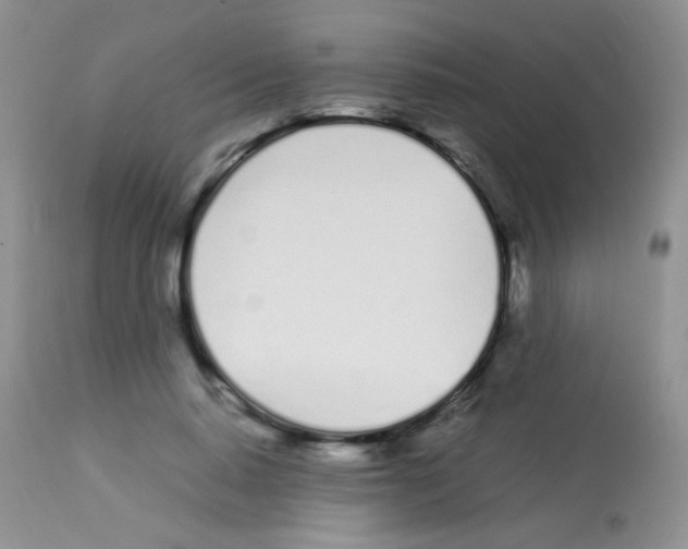 X0000113090640200910091258
