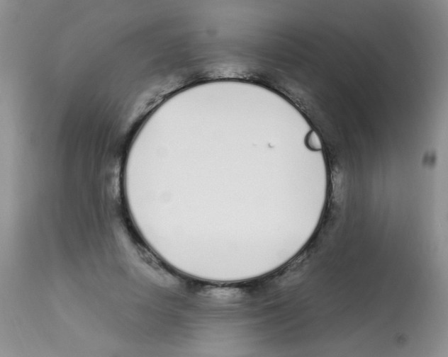 X0000113090642200910091258