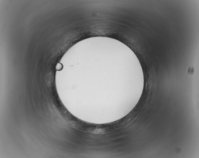 X0000113090647200910091258